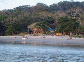 The Beach